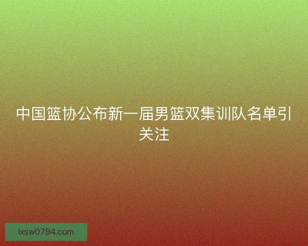 中国篮协公布新一届男篮双集训队名单引关注